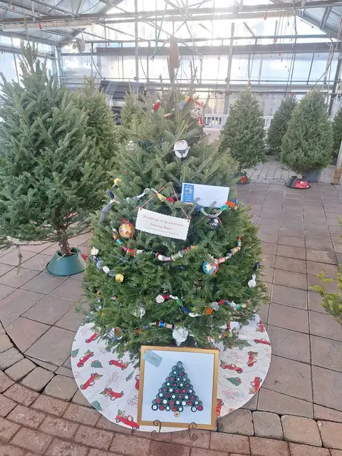 A decorated Christmas tree at a past Rochester Festival of Trees