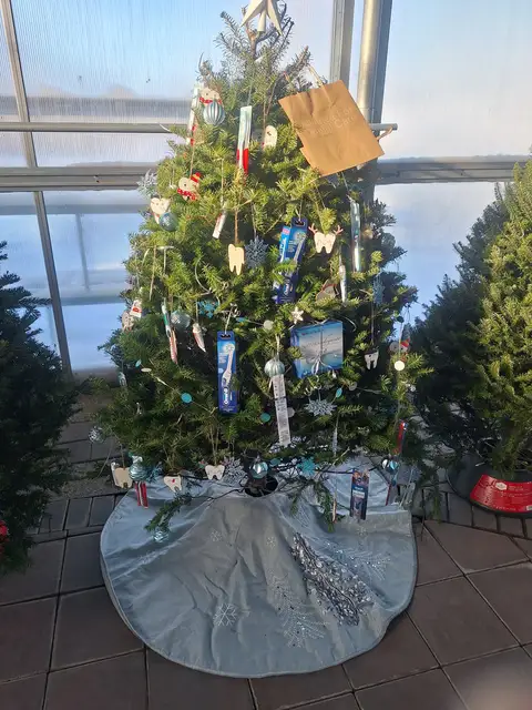 A decorated Christmas tree at a past Rochester Festival of Trees