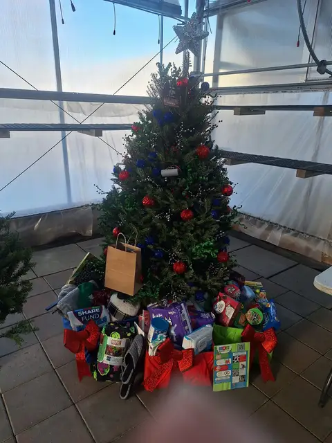 A decorated Christmas tree at a past Rochester Festival of Trees