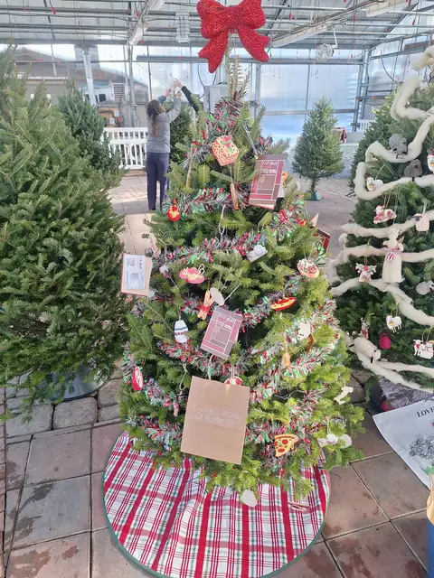A decorated Christmas tree at a past Rochester Festival of Trees