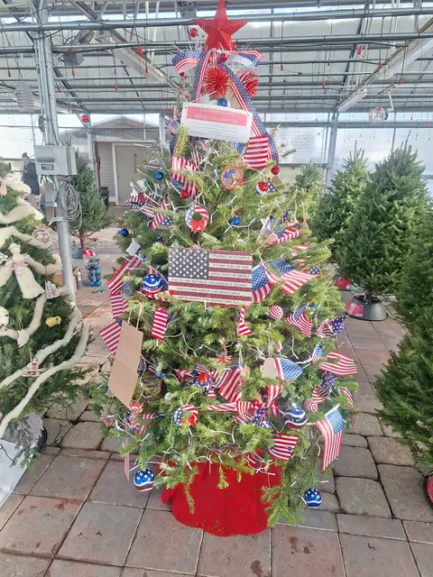 A decorated Christmas tree at a past Rochester Festival of Trees