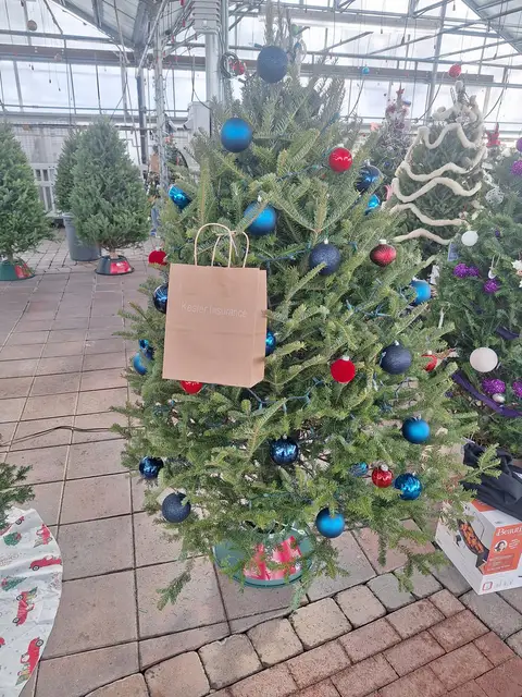 A decorated Christmas tree at a past Rochester Festival of Trees