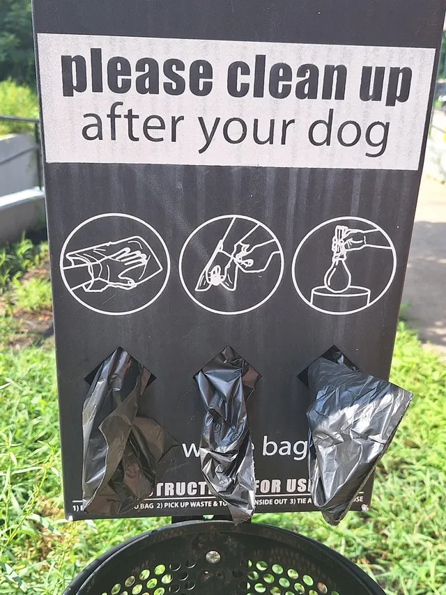 A dog waste station stocked with free pickup bags