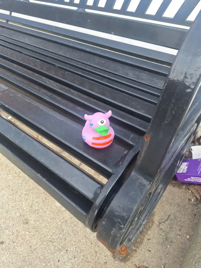 A small rubber duck hidden on a downtown bench during a mini-scavenger hunt