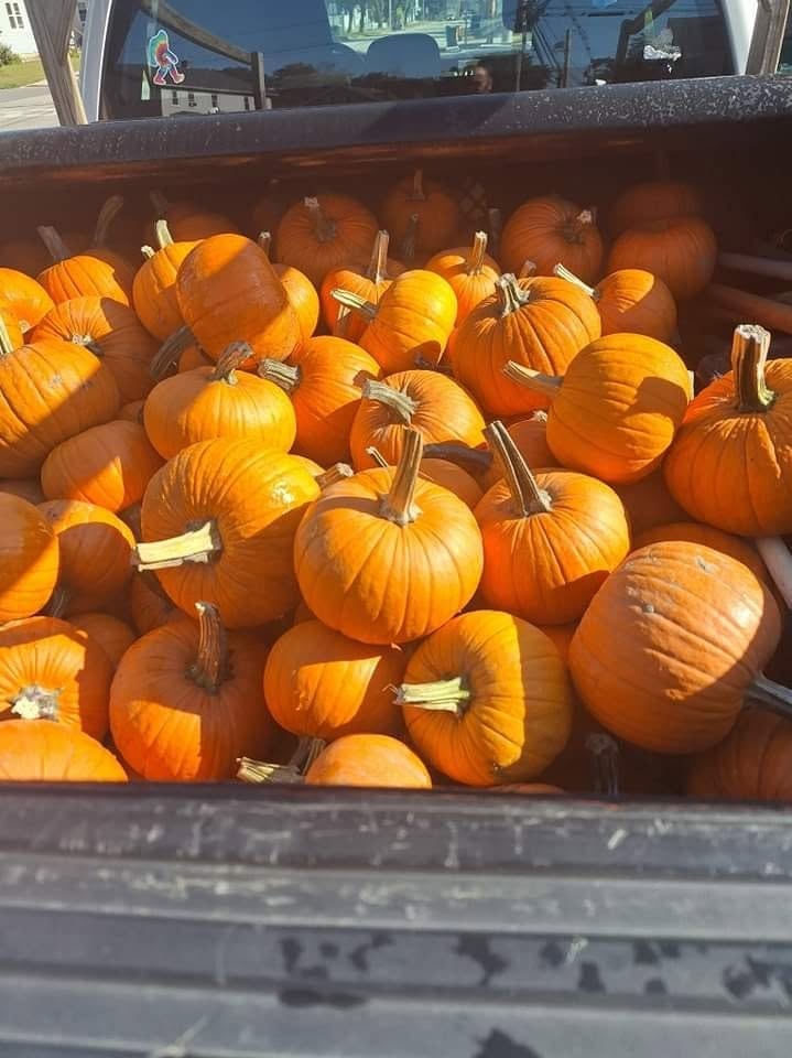Children decorating pumpkins at the Halloween Spooktacular pumpkin patch in downtown Rochester